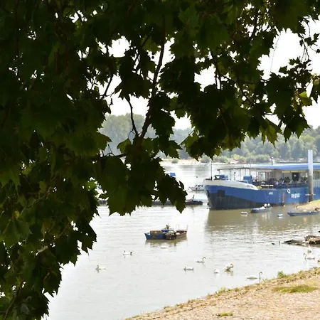 Danube Star 3 Belgrade